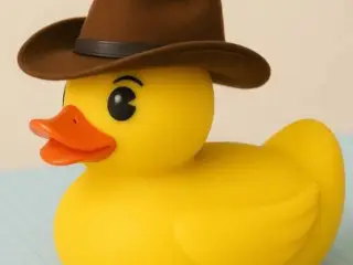 Cowboy duckies