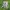 GHAST MINECRAFT FLEXI GELENKSPIELZEUG (3mf enthalten)