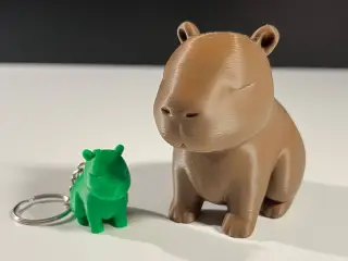 Cute Capybara