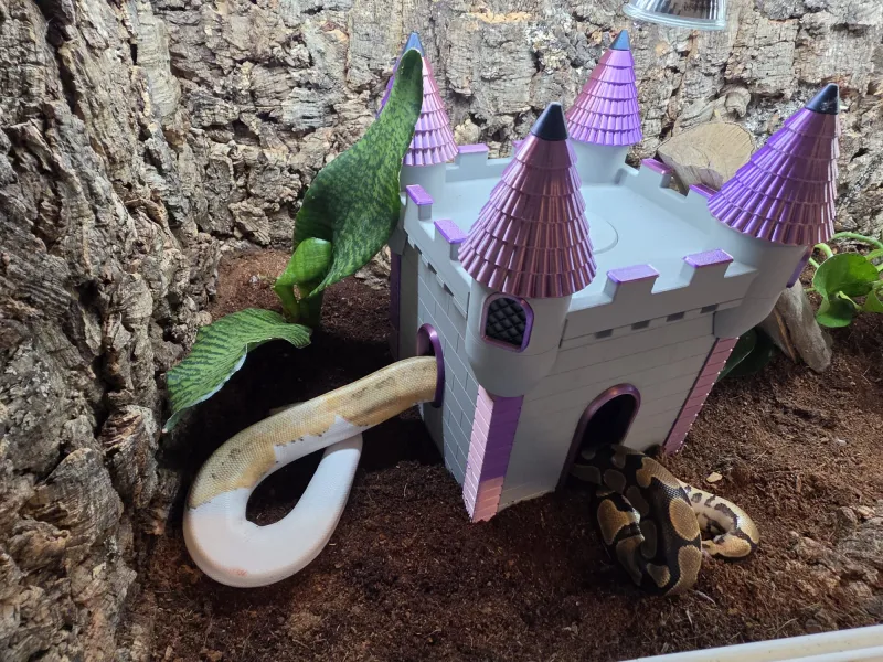 Castello per Terrario Carino – Un Rifugio Versatile per i Tuoi Animali Domestici!