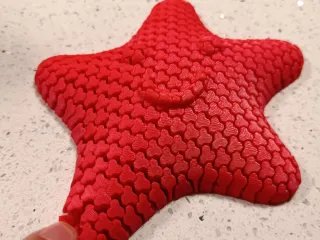 Flexi playful star