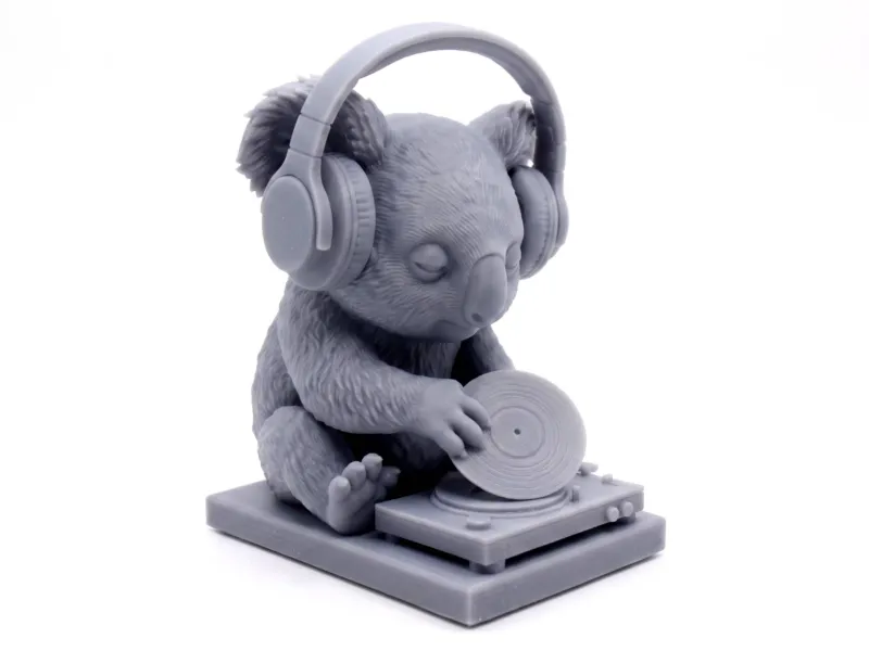 코알라 DJ