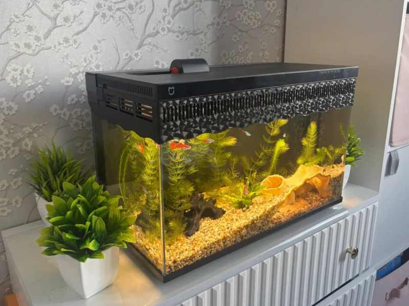 Raising the lid of the Xiaomi Mijia fish tank MYG100 with a