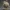 Abóbora Sorridente