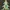 8 Number - Christmas Tree with Baubles, Tinsels and Star