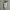 Maker Imprimiendo 2 – Gancio Creativo