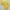 Africa