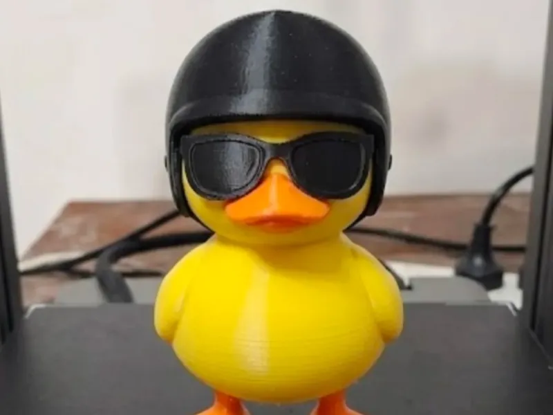 Rață cool în picioare