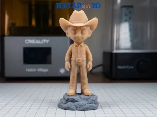 The Plains Cowboy