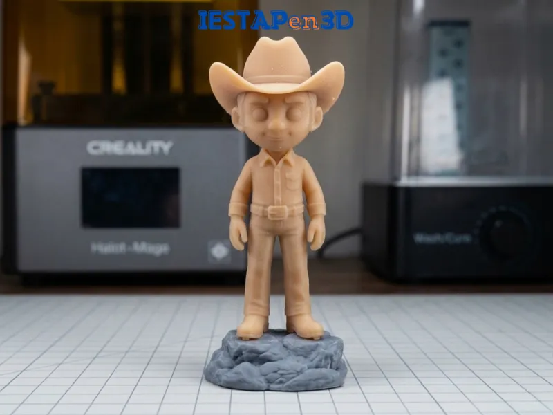 The Plains Cowboy