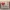 KitKat Postal Sleeve - Love Letter Edition