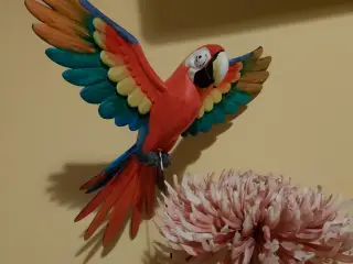 MacCaw Parrot