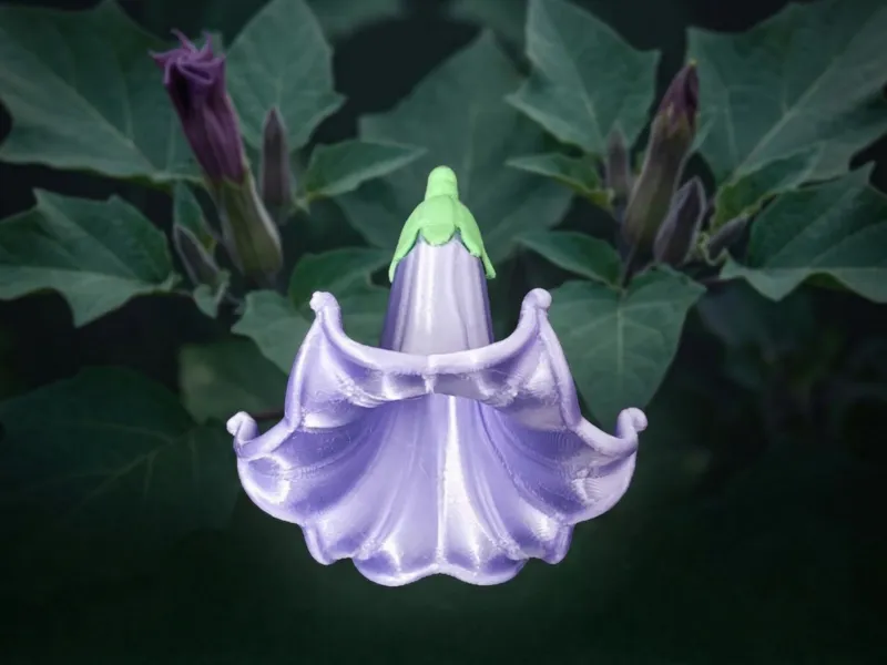 Campanilla Correhuela Planta Flor artificial Flor decorativa Flor de modelo Adorno decorativo Flores decorativas Modelo 3D de plantas Piezas separadas y coloreadas