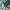 墨西哥队钥匙扣