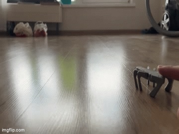 Jumping Grasshopper