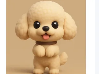 Poodle 2