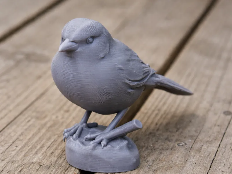 Baird's junco