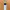 Dave Minion bookmark