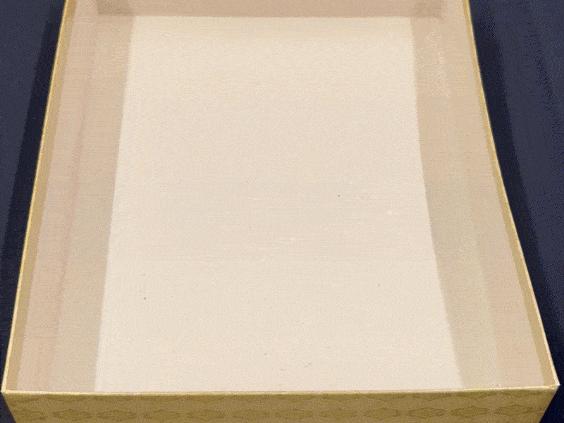 STL FILE for Grand Austria Hotel organizer, Premium insert