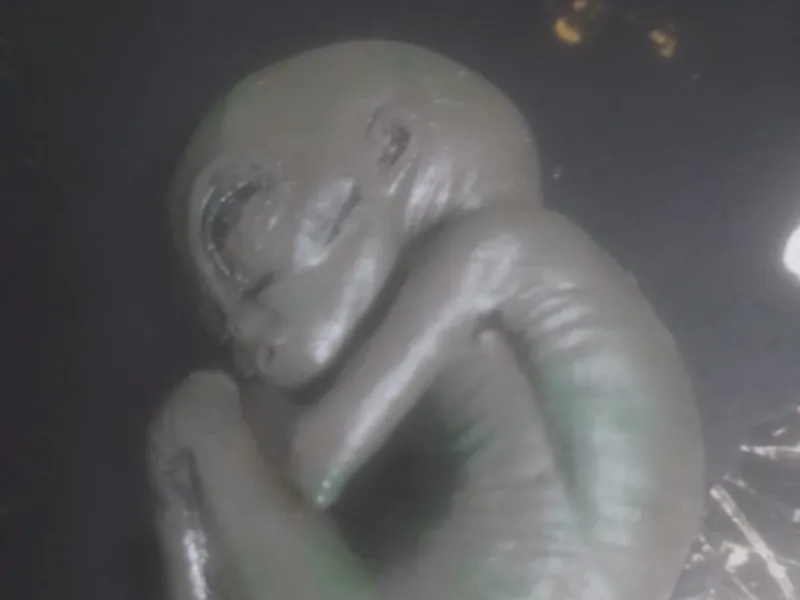 Alien Baby – Cute & Detailed 3D Printable Figure