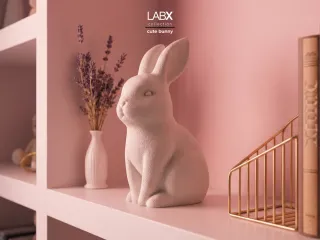 Cute Bunny