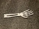 Hand Skeleton TPU-0