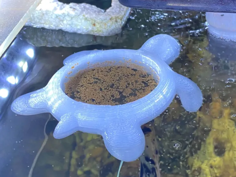Anel de Alimentação Flutuante e Portal de Tartaruga Marinha Fofa - Aquário Fi