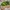 Nordic Facet Planter