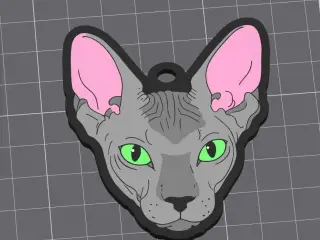 KeyChan Sphynx