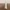 Surfboard on Stand – Decorative Summer Beach Model