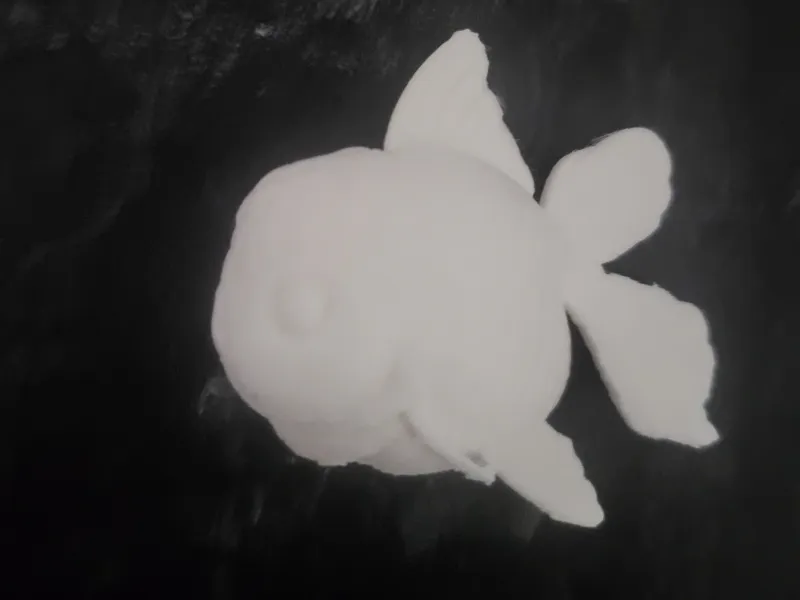 Lionhead Goldfish