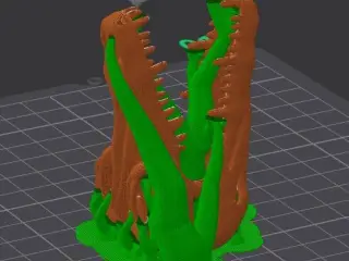 Crocodile Skull