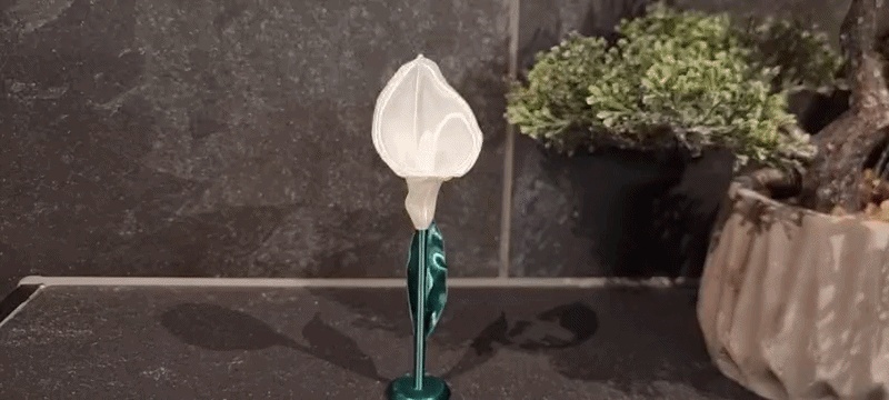 Calla lily multi-part-0