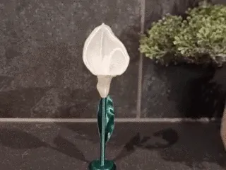 Calla lily multi-part