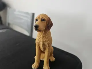 Labradoodle