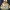 Meshy_AI_Family Julia&rosa_1774901934_generate