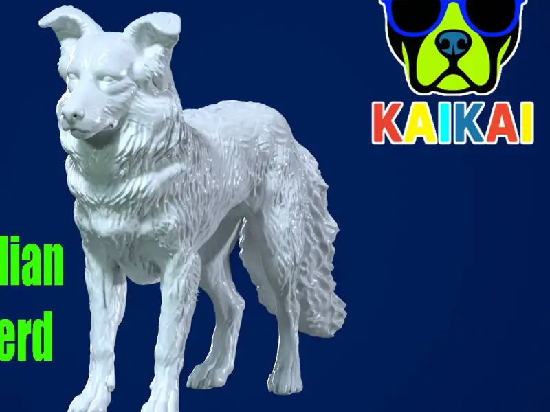 The Australian Shepherd - Australian Berger model - 3D print