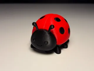 Cute Ladybug