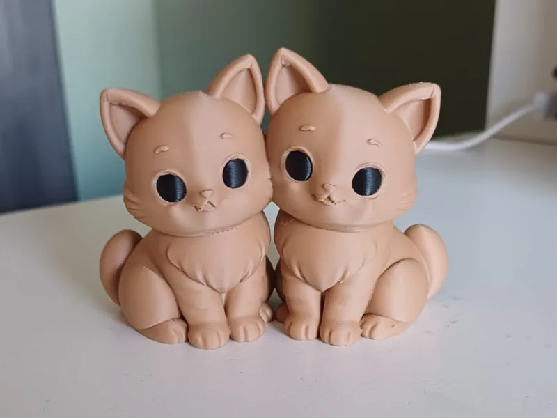 Adorabile coppia di gattini seduti
