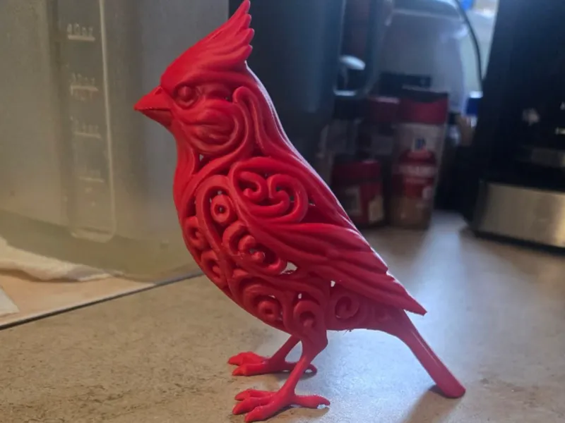 Swirly Bird