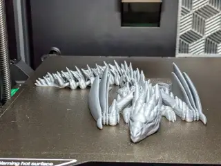 Silver Dragon