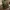 Monstera+Untersetzer+Set+mit+Halter