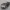 Lancia D24 Pininfarina Spider 1953