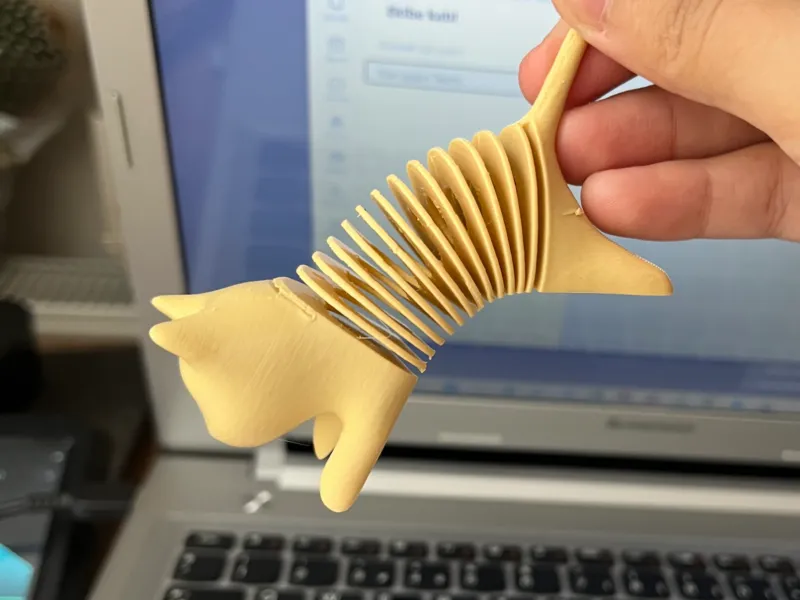 Gatos flexíveis para notas