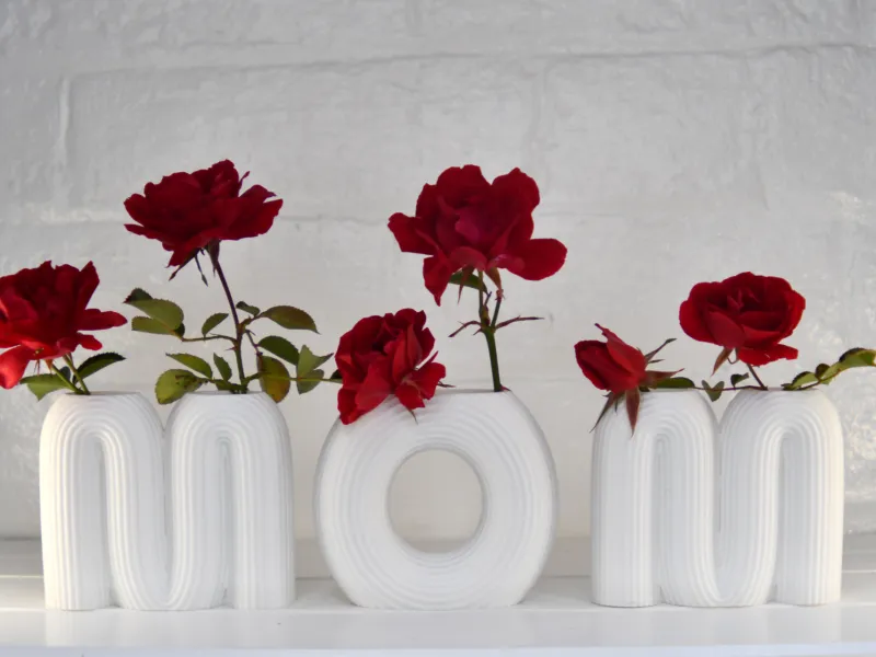 Vaso de Flores para Mães