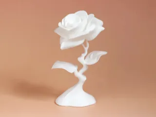 Modern Rose