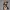 Glamour Pin-Up Collectible Statue v13