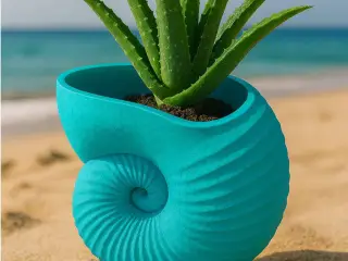 Maceta caracola