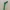 Here! Arrow Bookmark