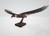 Condor Chileno, geometria-0